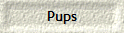 Pups
